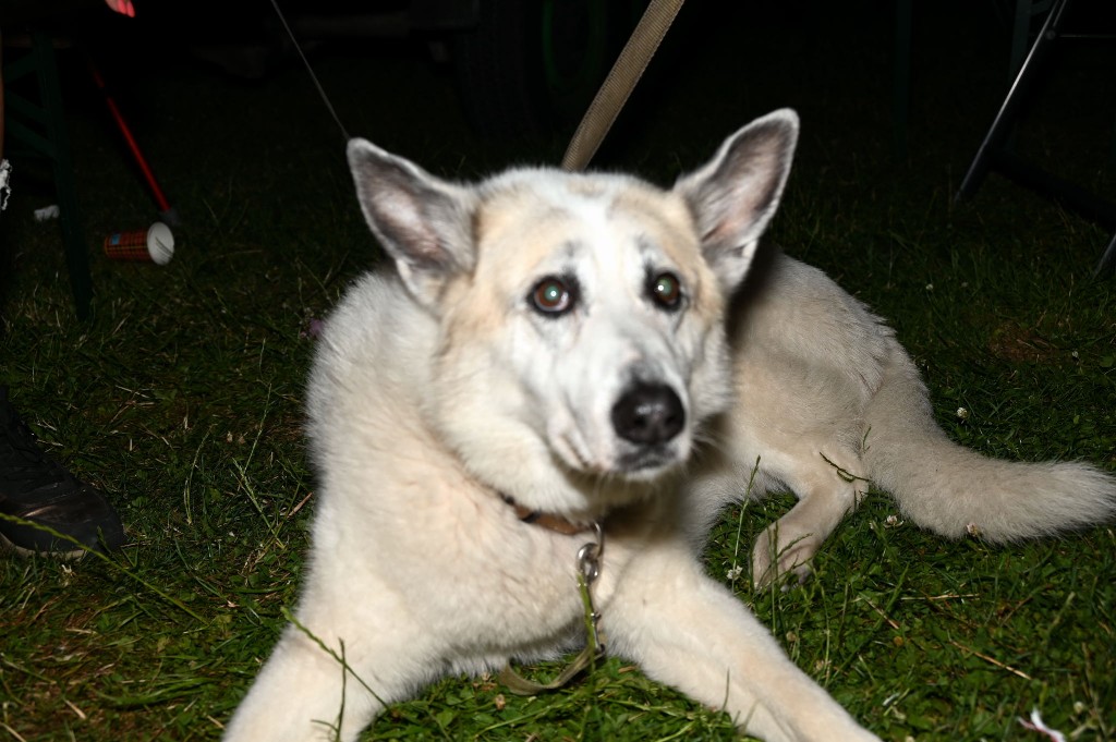 ../Images/Polderland meeting 2025 275.jpg